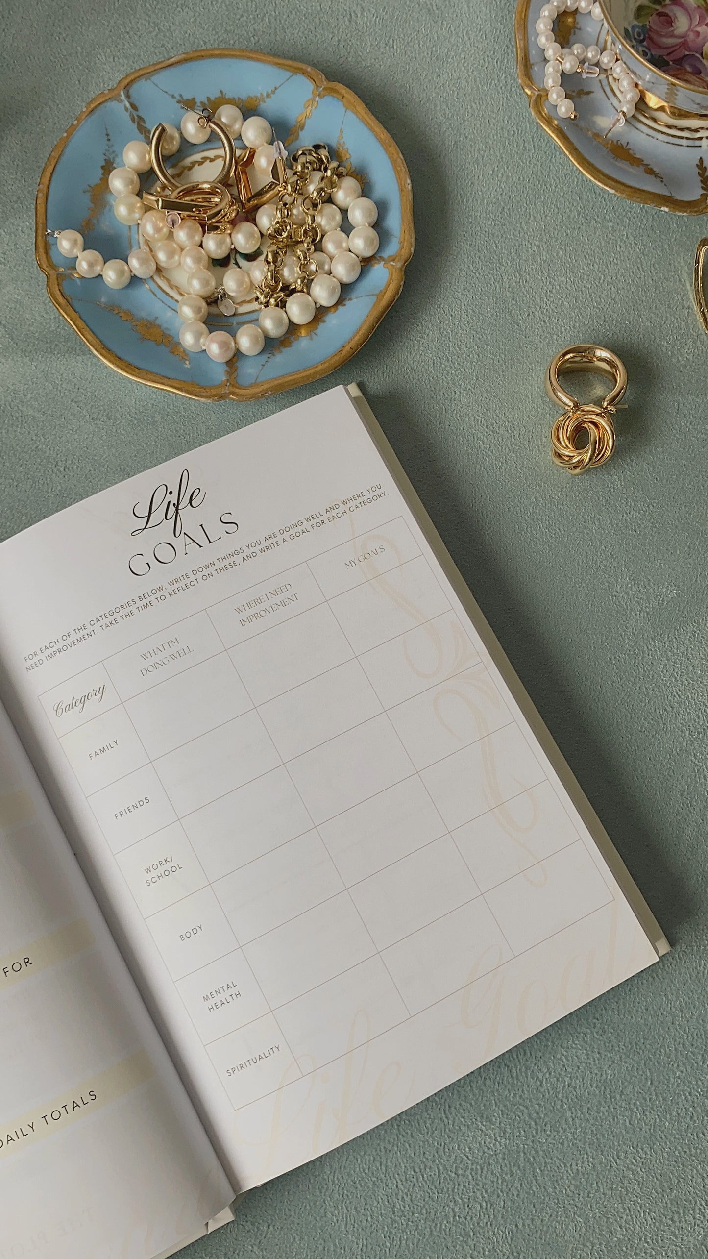 The Goal Planner - Your Plot To Success